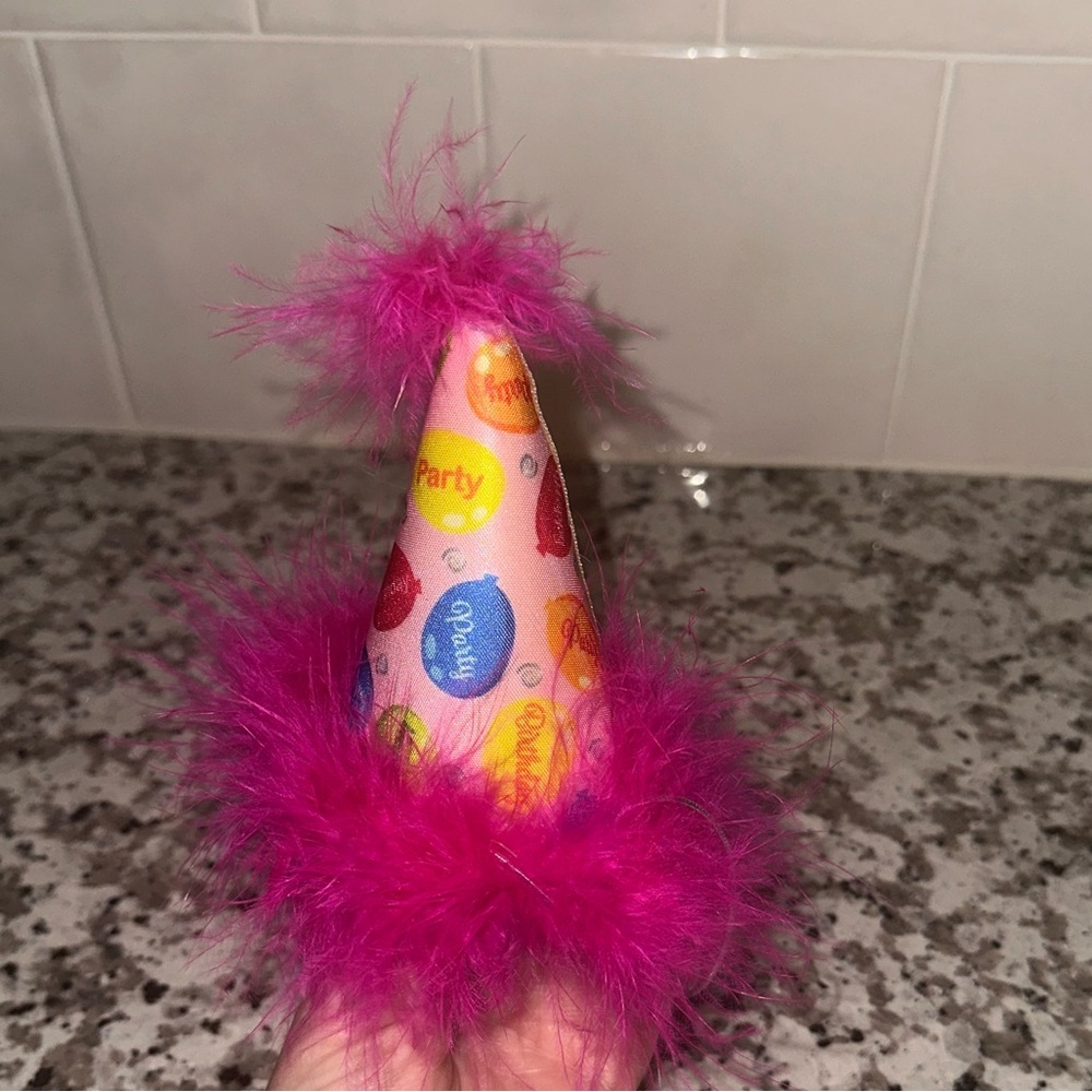Pet Birthday Party Hat